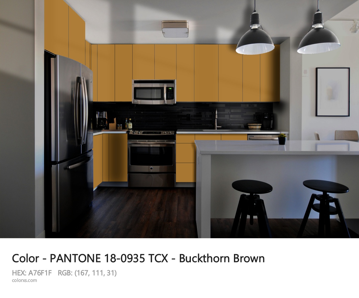 PANTONE 18-0935 TCX - Buckthorn Brown CMS modular kitchen design