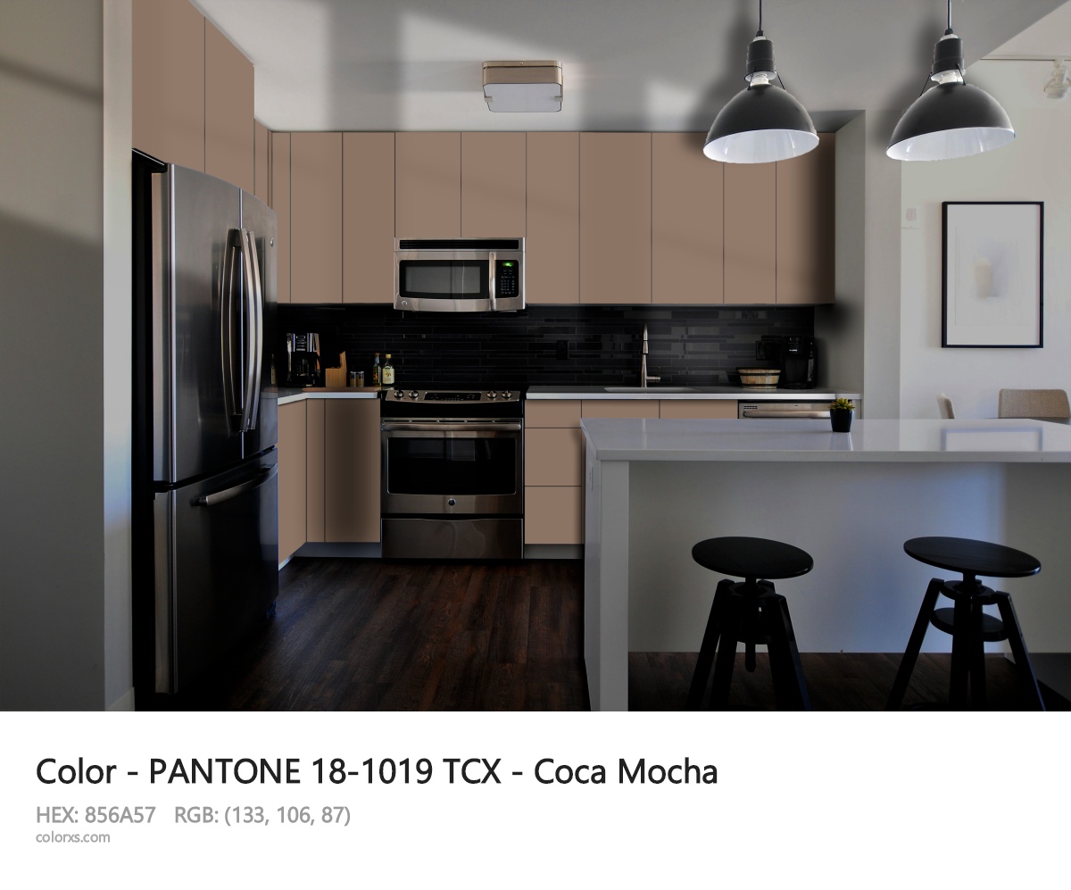 PANTONE 18-1019 TCX - Coca Mocha CMS modular kitchen design