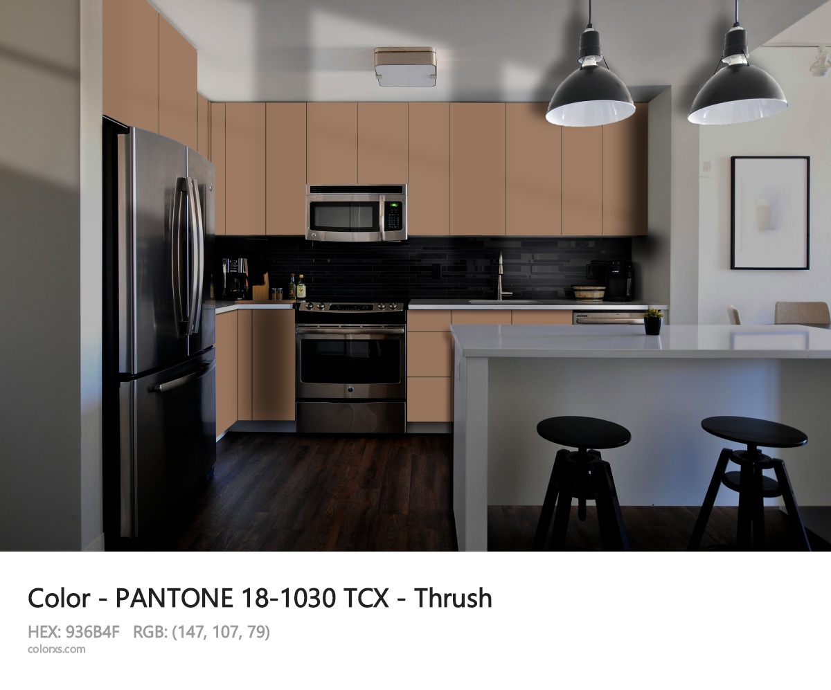 PANTONE 18-1030 TCX - Thrush CMS modular kitchen design