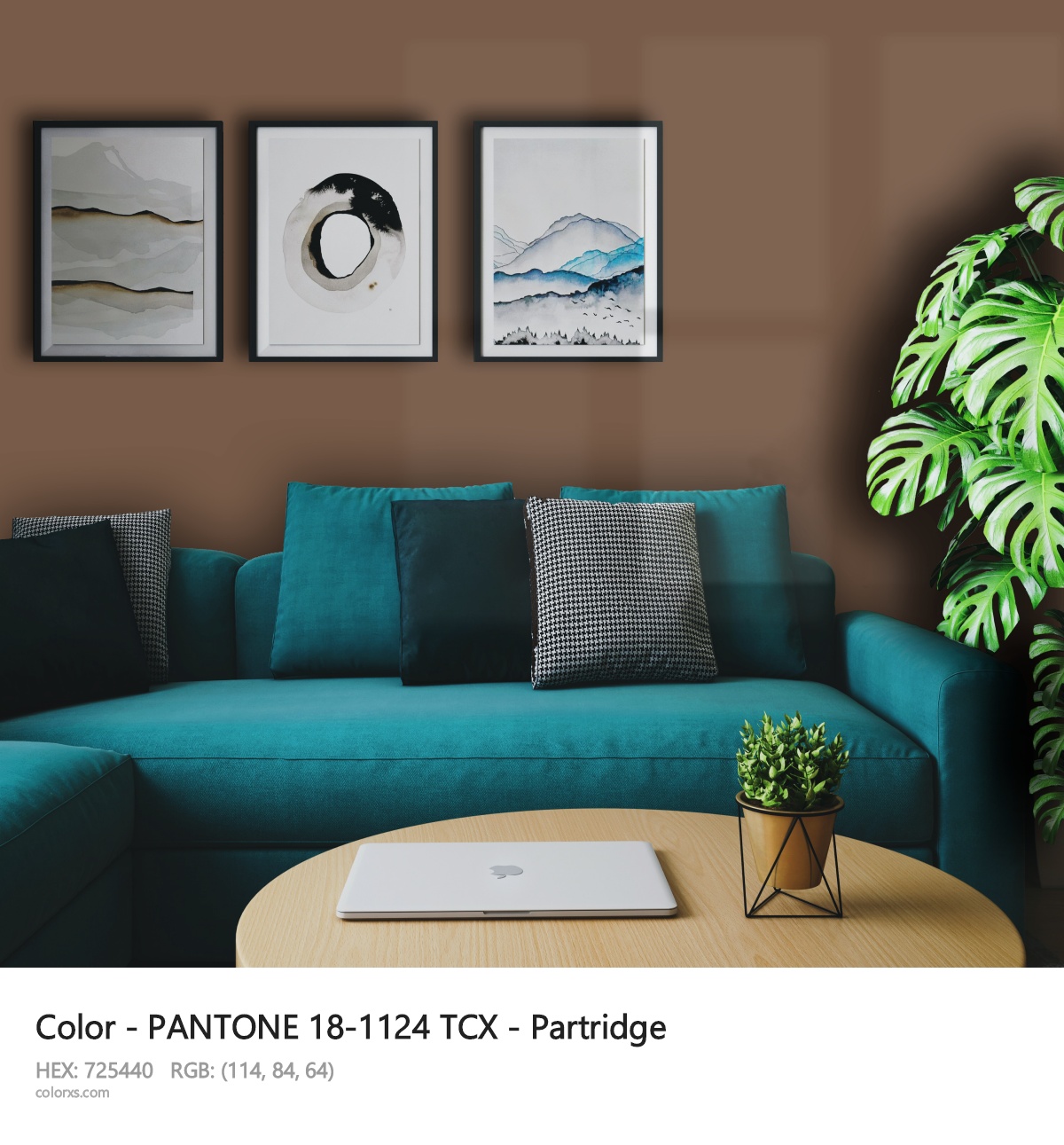 About PANTONE 18-1124 TCX - Partridge color - its meaning and example