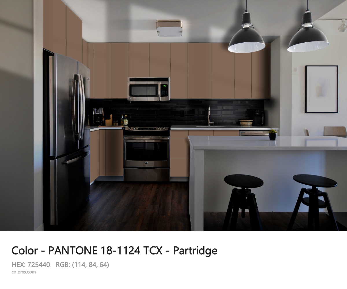 PANTONE 18-1124 TCX - Partridge CMS modular kitchen design