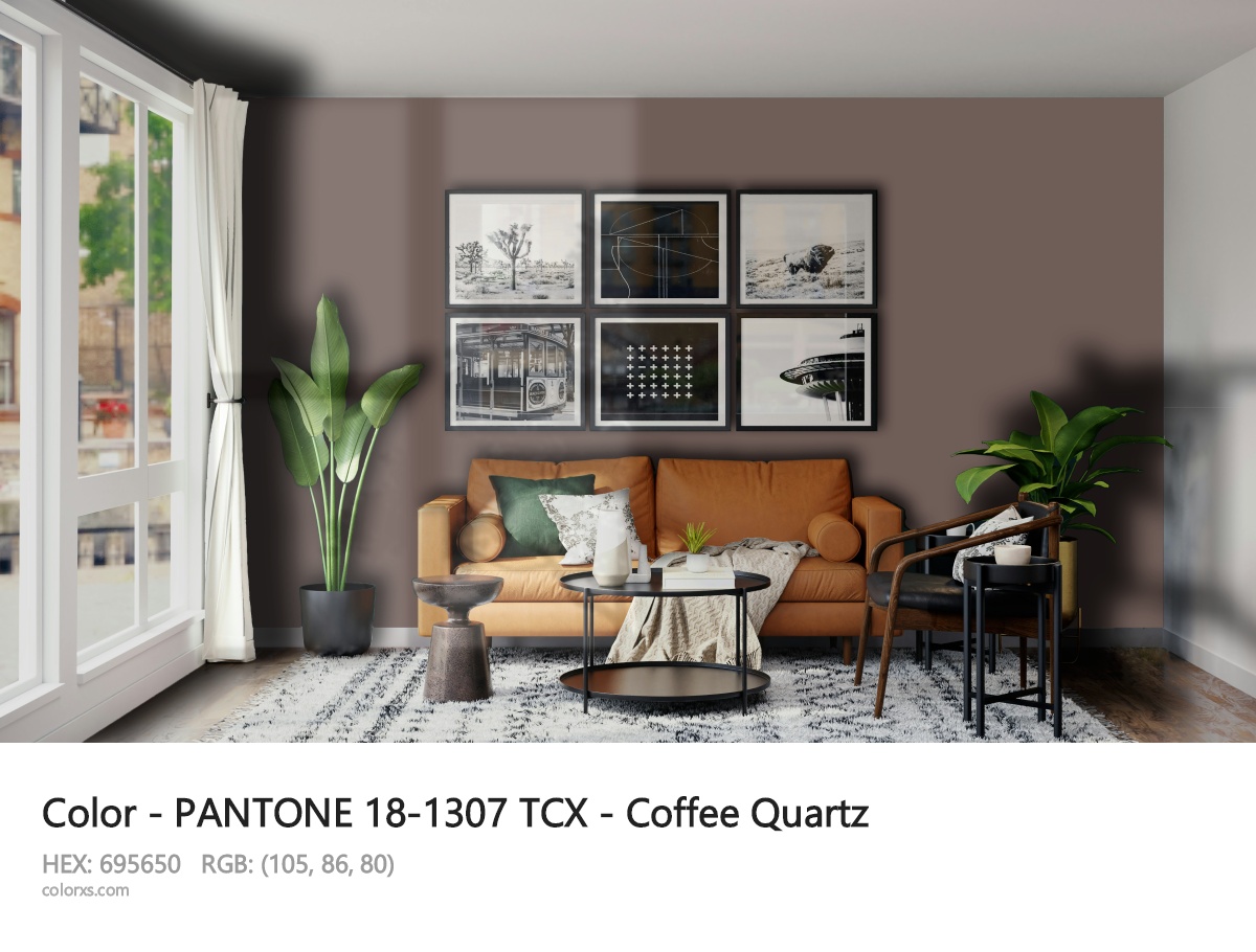About PANTONE 18-1307 TCX - Coffee Quartz color - its meaning and example