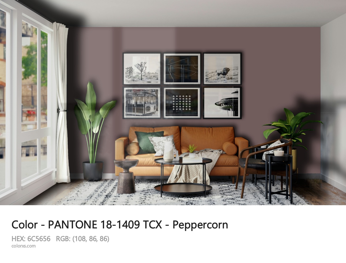 About PANTONE 18-1409 TCX - Peppercorn color - its meaning and example