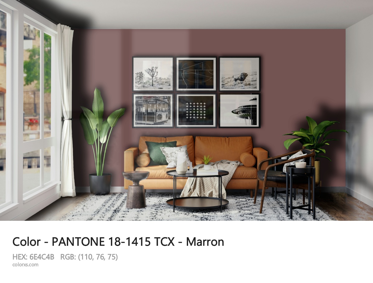 PANTONE 18-1415 TCX - Marron CMS modern minimalist living room interior