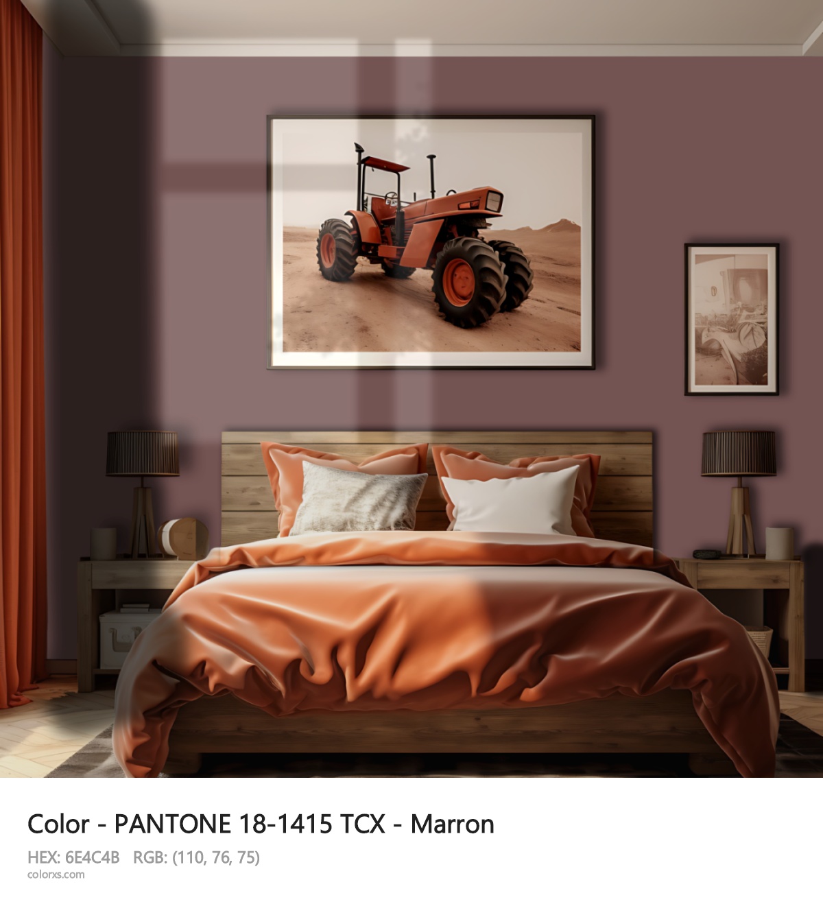 About PANTONE 18-1415 TCX - Marron color - its meaning and example