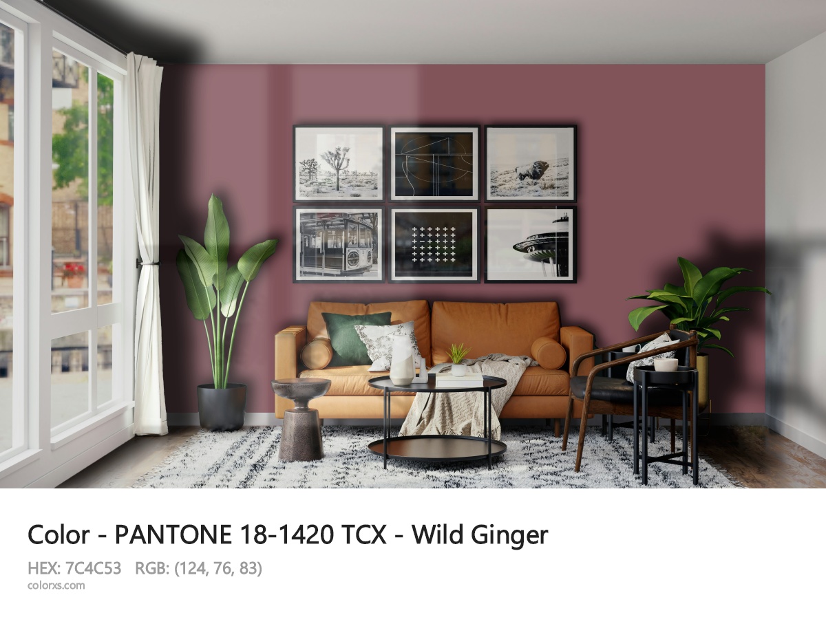 About PANTONE 18-1420 TCX - Wild Ginger color - its meaning and example