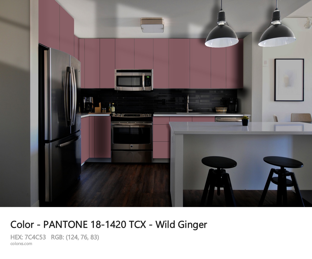 PANTONE 18-1420 TCX - Wild Ginger CMS modular kitchen design