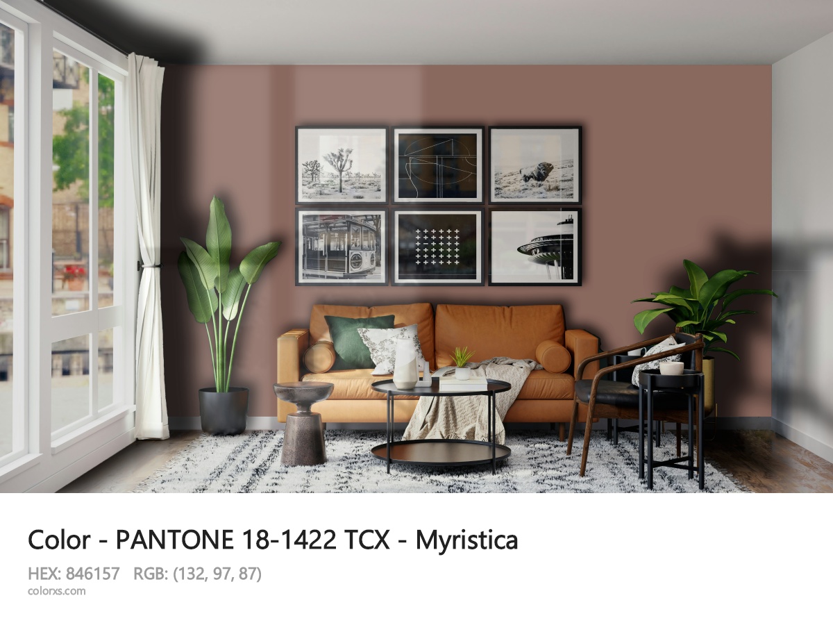 About PANTONE 18-1422 TCX - Myristica color - its meaning and example