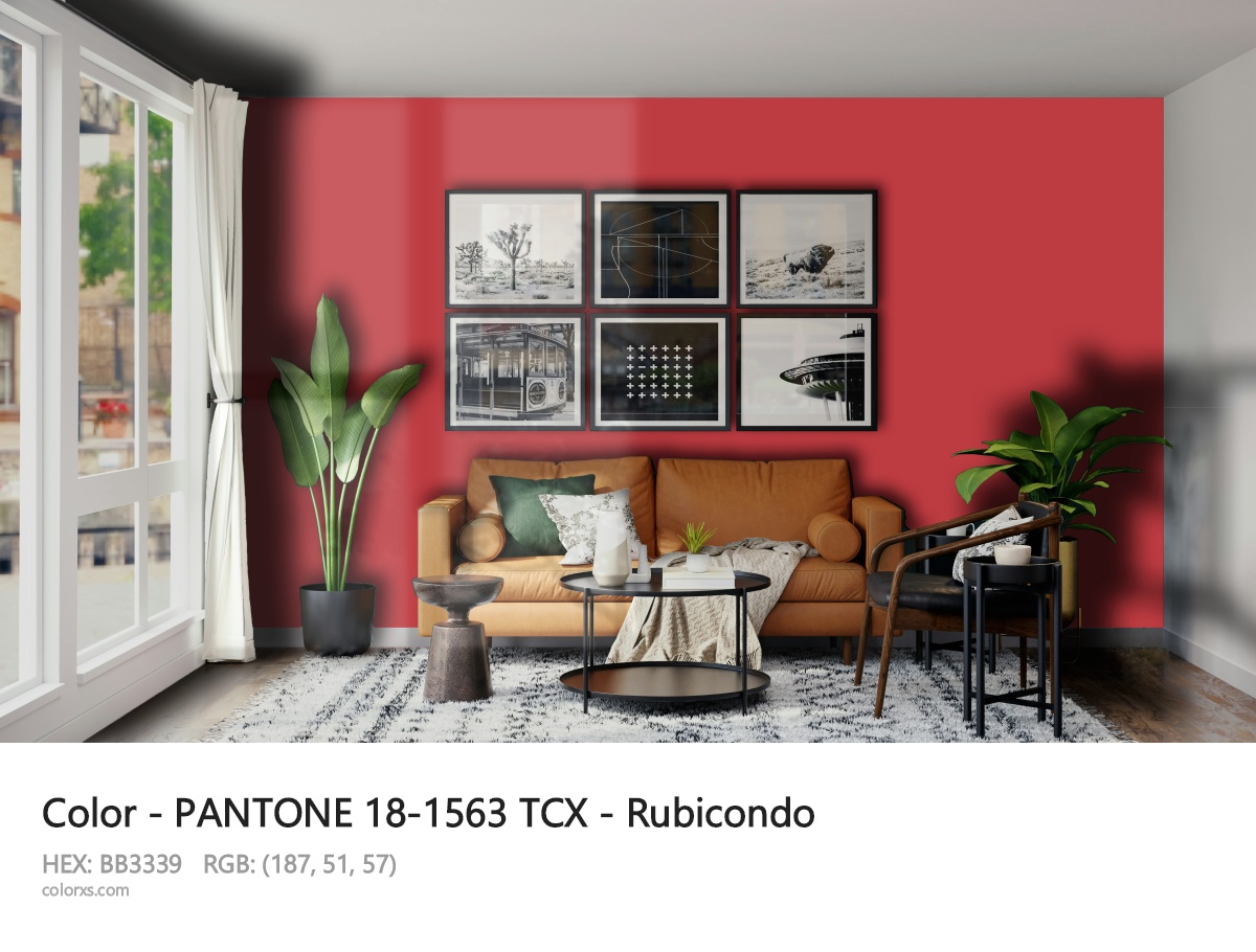 About PANTONE 18-1563 TCX - Rubicondo color - its meaning and example