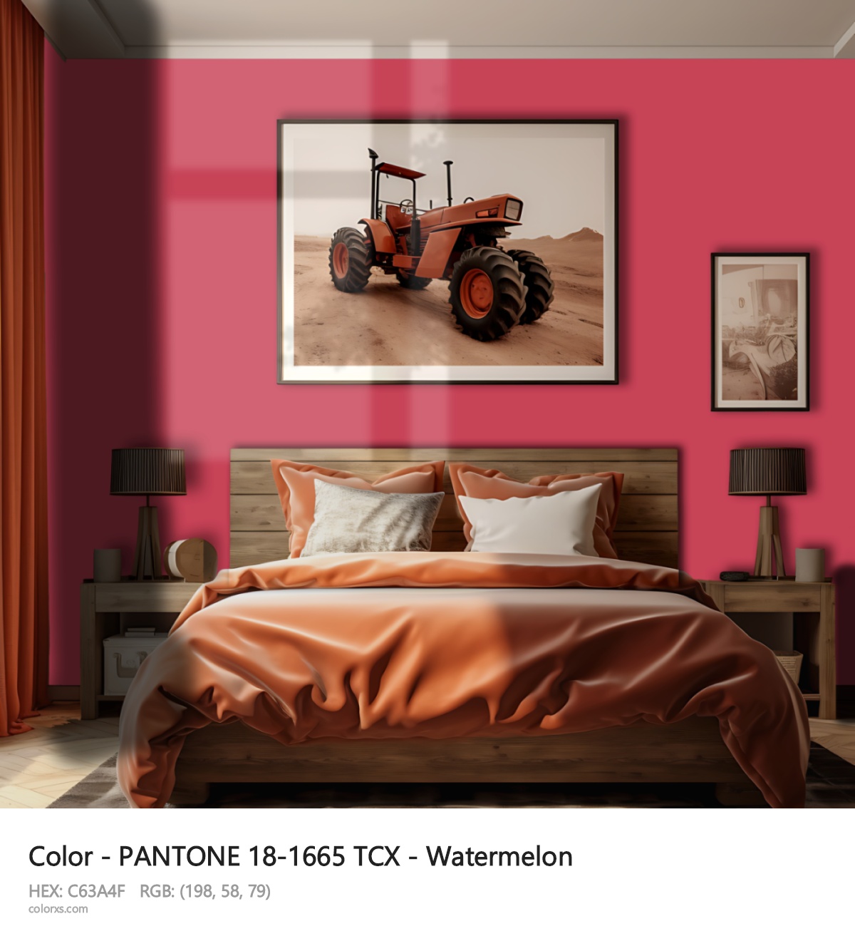 About PANTONE 18-1665 TCX - Watermelon color - its meaning and example