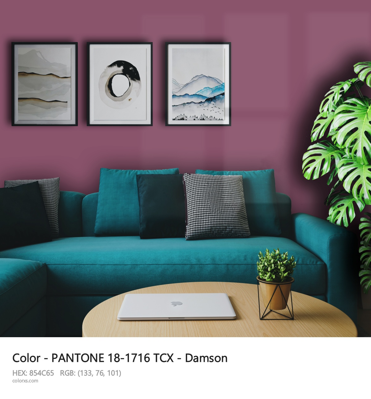 About PANTONE 18-1716 TCX - Damson color - its meaning and example