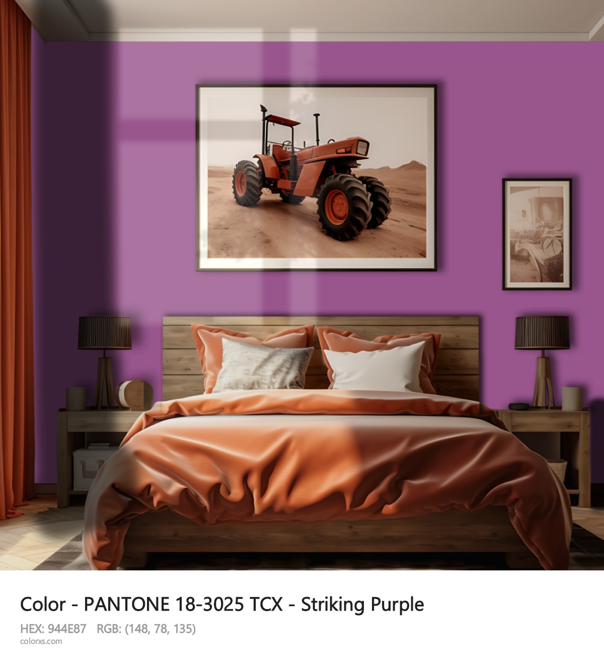 About PANTONE 18-3025 TCX - Striking Purple color - its meaning and example