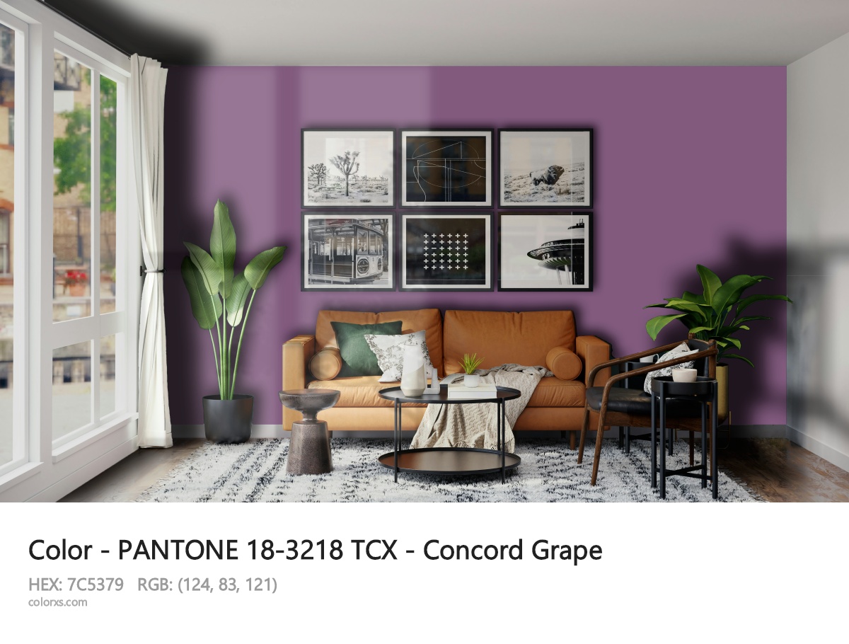 About PANTONE 18-3218 TCX - Concord Grape color - its meaning and example