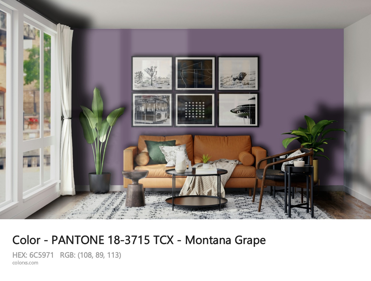 About PANTONE 18-3715 TCX - Montana Grape color - its meaning and example