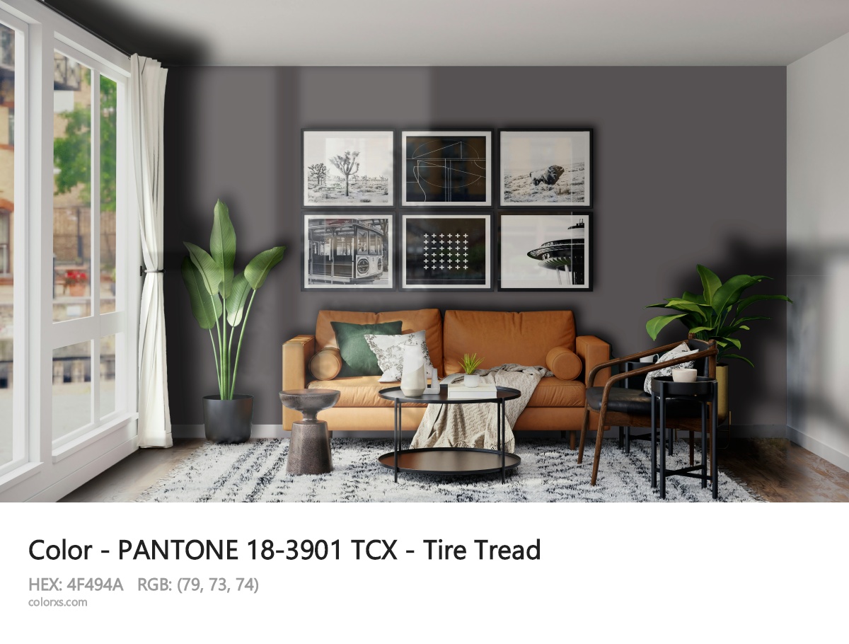 About PANTONE 18-3901 TCX - Tire Tread color - its meaning and example