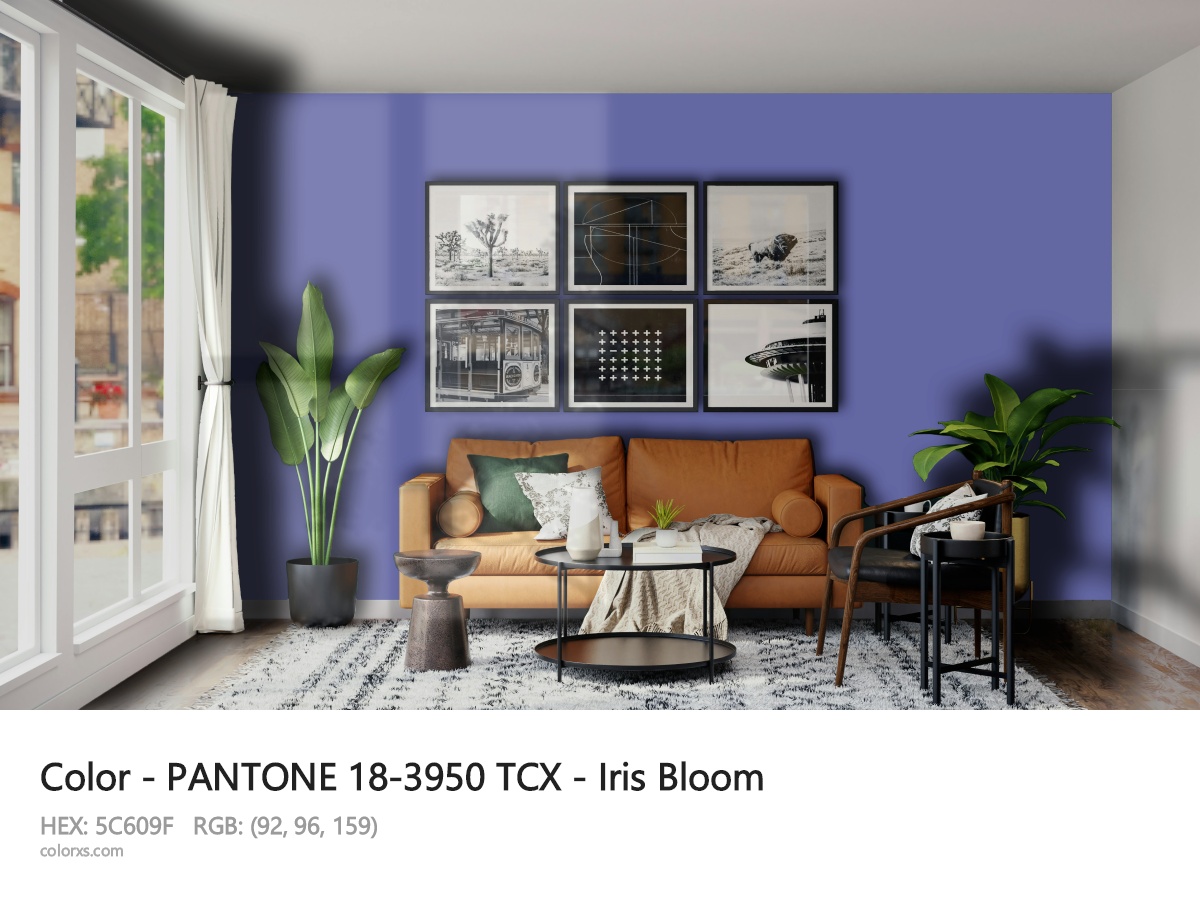 About PANTONE 18-3950 TCX - Iris Bloom color - its meaning and example