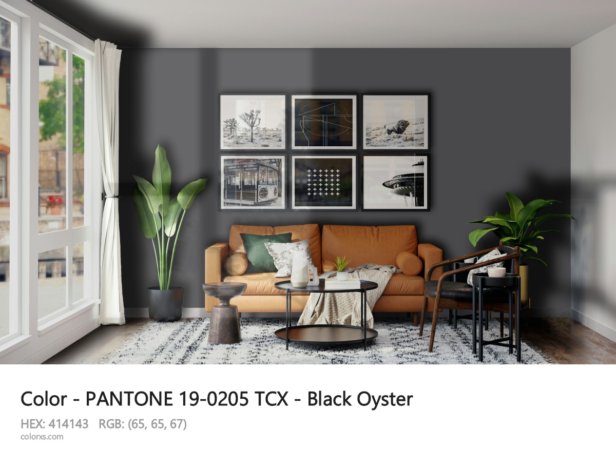 About PANTONE 19-0205 TCX - Black Oyster color - its meaning and example