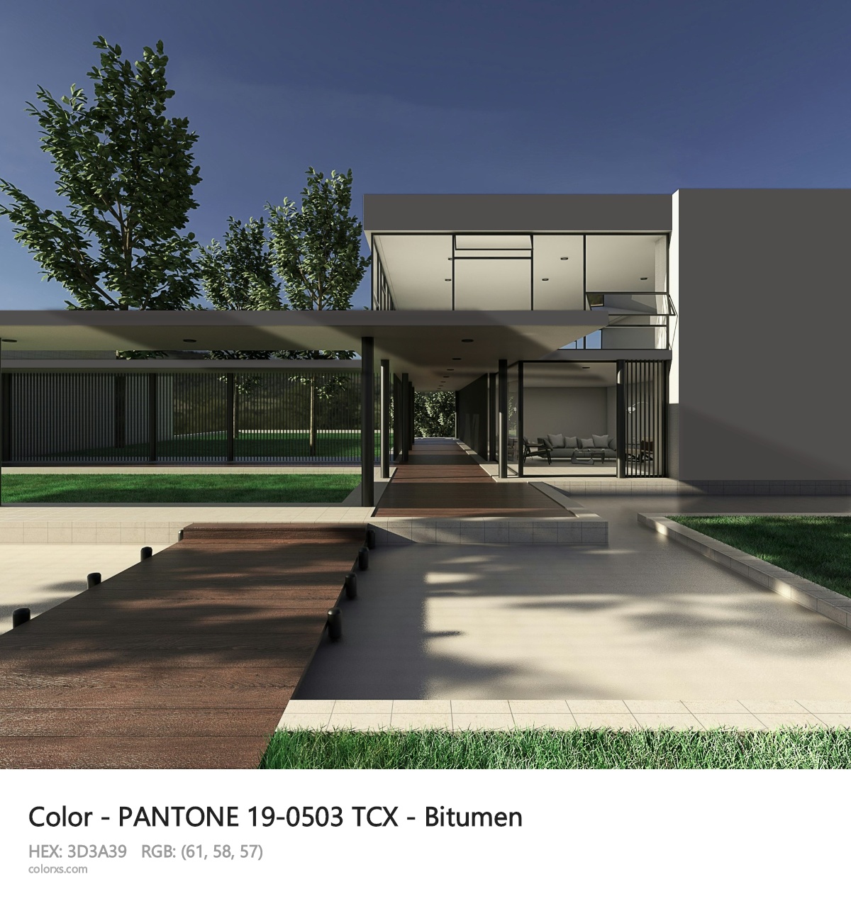 PANTONE 19-0503 TCX - Bitumen CMS exterior design modern house with walkway