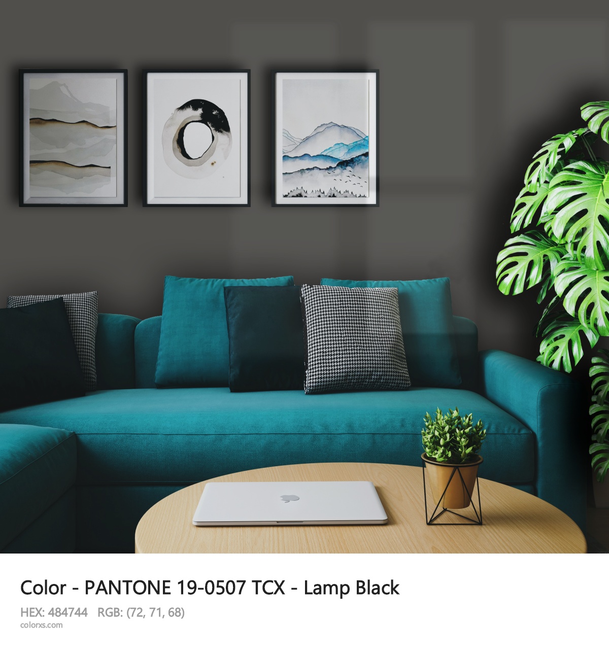About PANTONE 19-0507 TCX - Lamp Black color - its meaning and example
