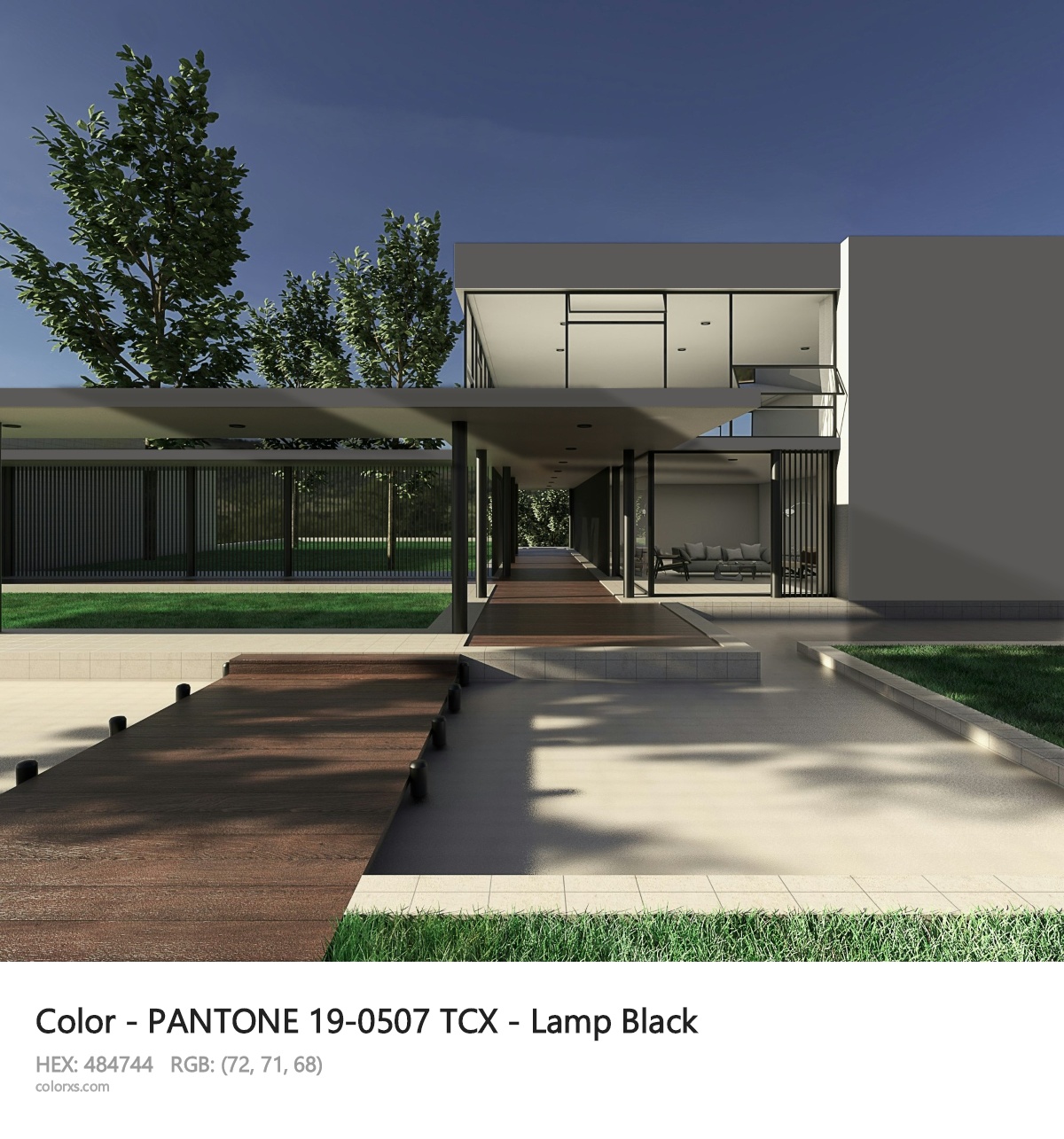 PANTONE 19-0507 TCX - Lamp Black CMS exterior design modern house with walkway