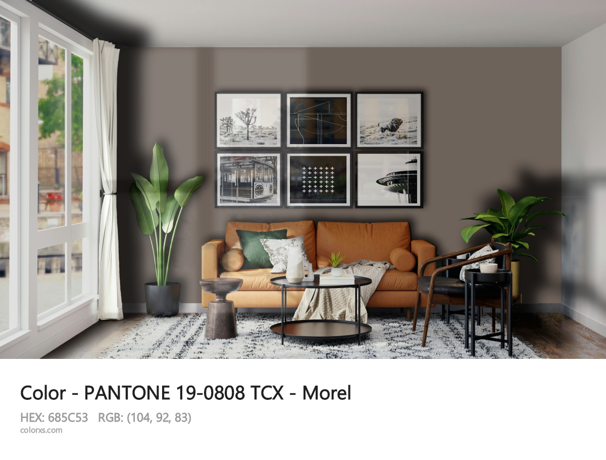 PANTONE 19-0808 TCX - Morel CMS modern minimalist living room interior