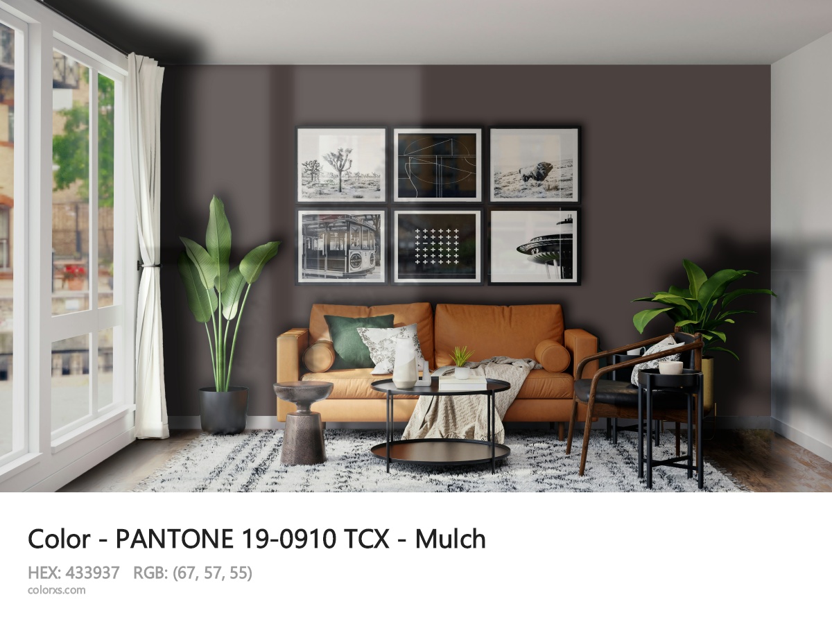 PANTONE 19-0910 TCX - Mulch CMS modern minimalist living room interior