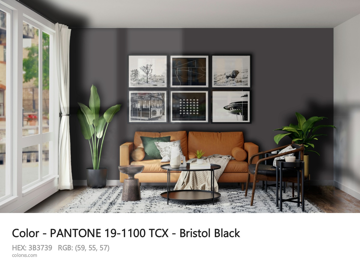About PANTONE 19-1100 TCX - Bristol Black color - its meaning and example