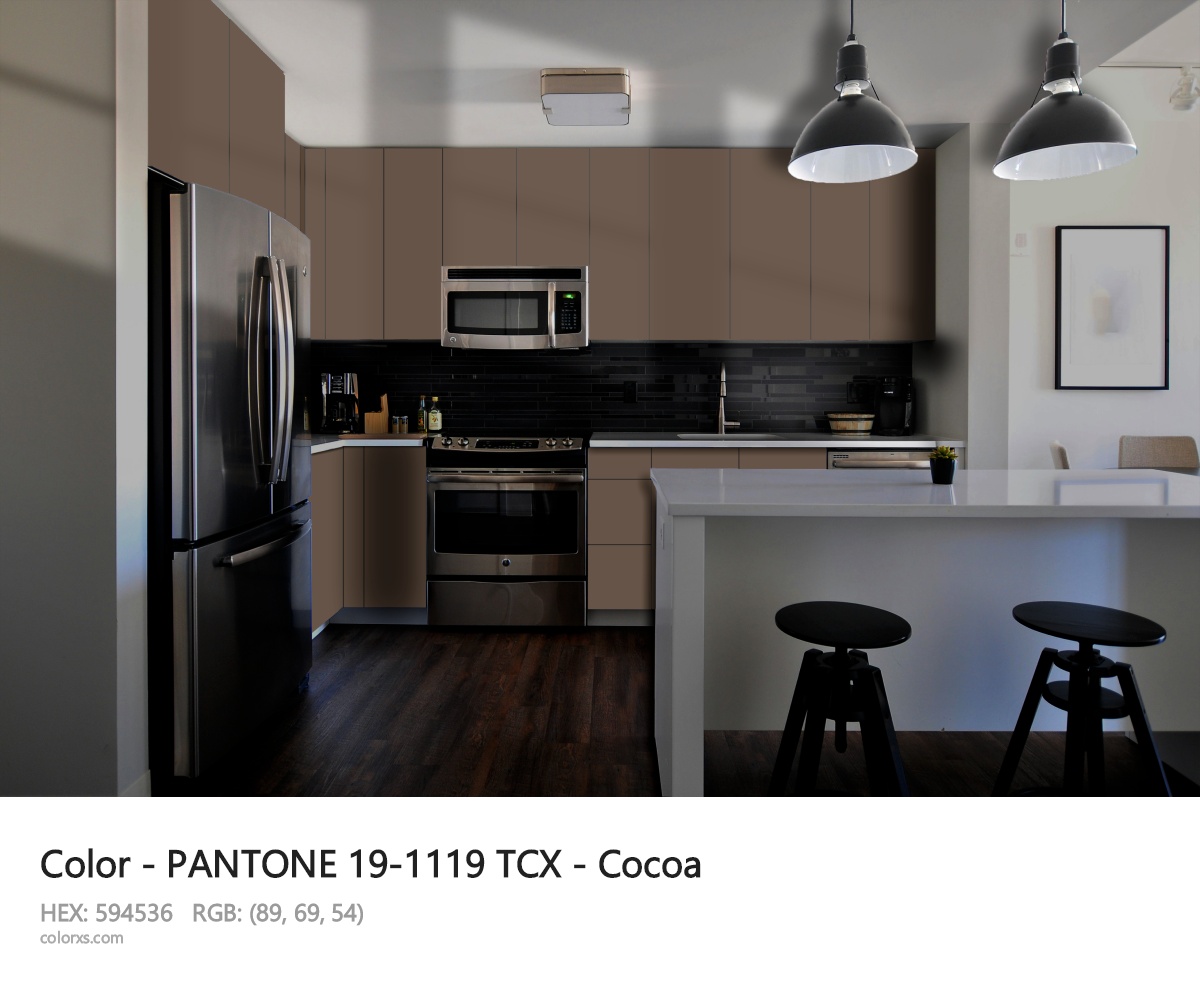 PANTONE 19-1119 TCX - Cocoa CMS modular kitchen design