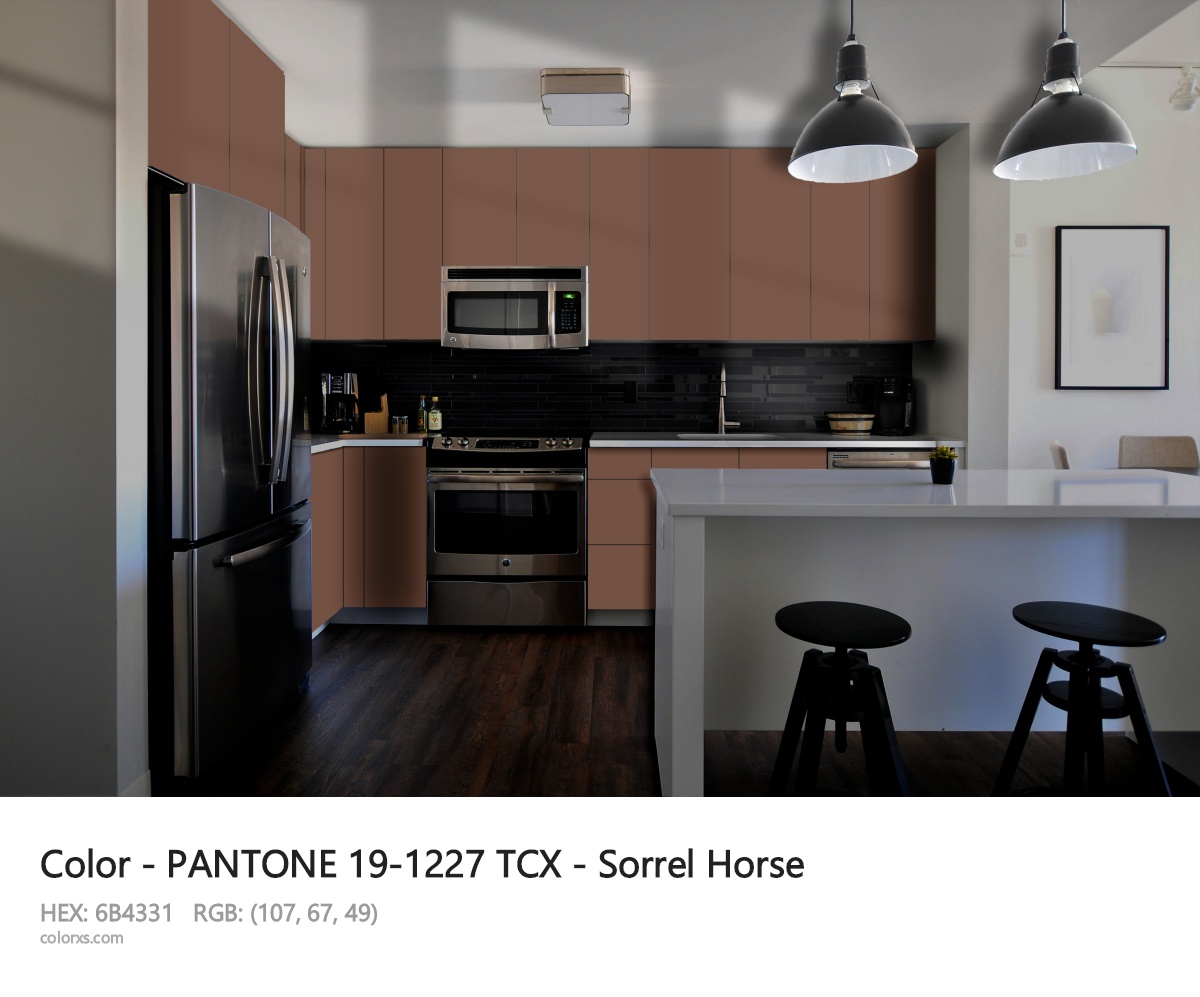 PANTONE 19-1227 TCX - Sorrel Horse CMS modular kitchen design