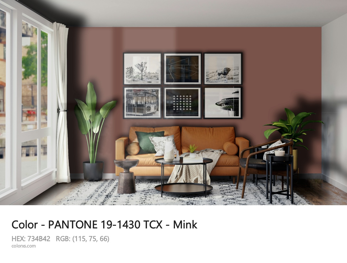 About PANTONE 19-1430 TCX - Mink color - its meaning and example