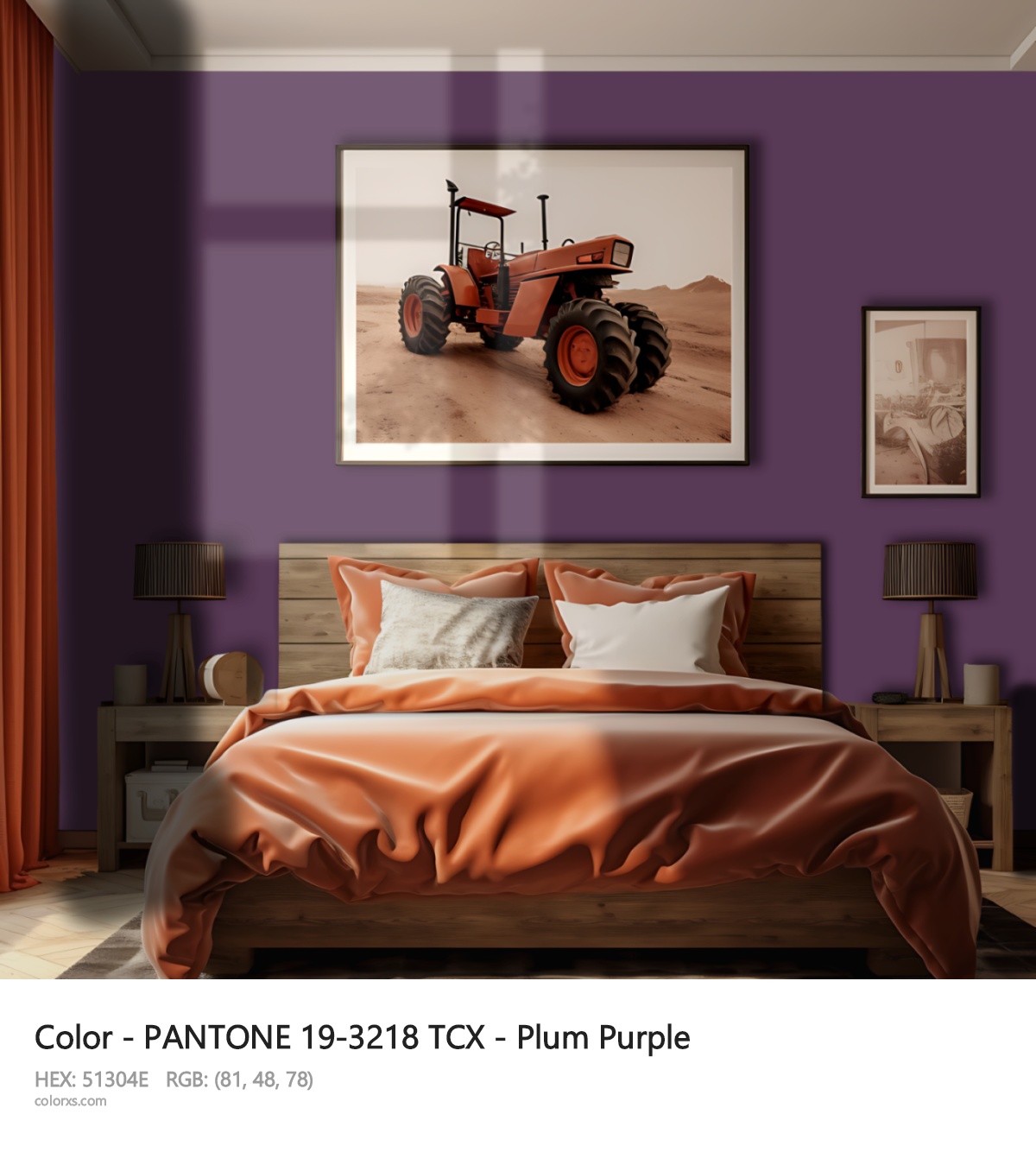 About PANTONE 19-3218 TCX - Plum Purple color - its meaning and example