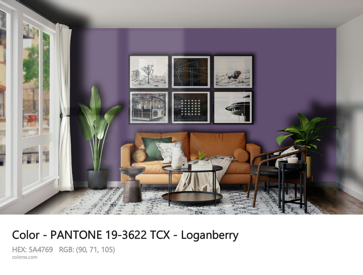 About PANTONE 19-3622 TCX - Loganberry color - its meaning and example