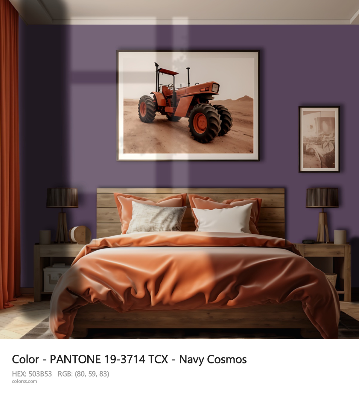 About PANTONE 19-3714 TCX - Navy Cosmos color - its meaning and example