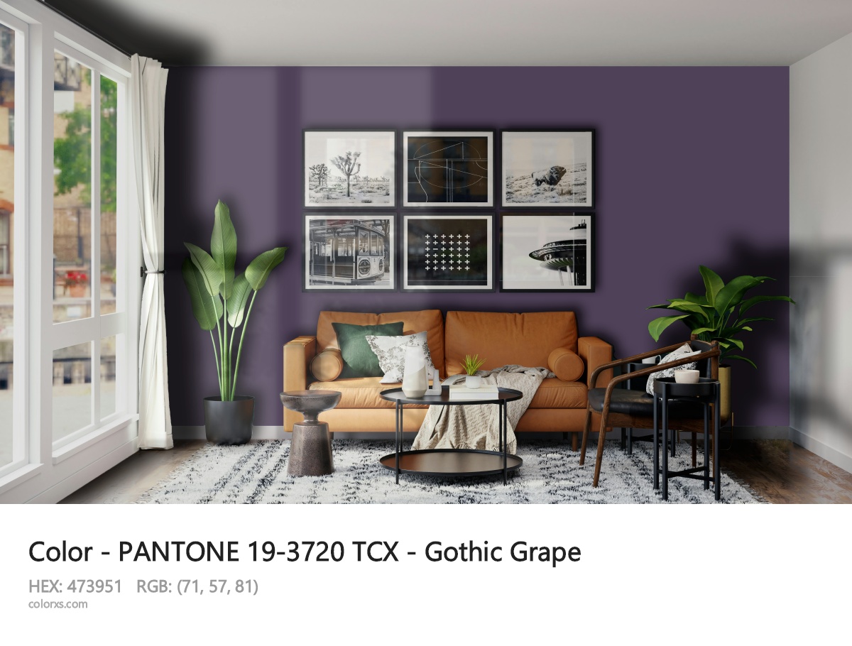About PANTONE 19-3720 TCX - Gothic Grape color - its meaning and example