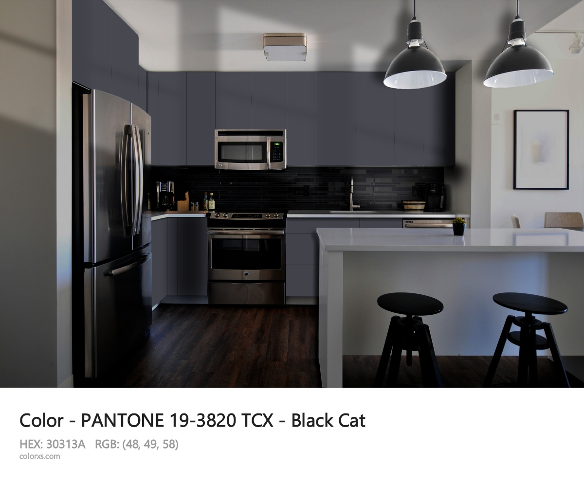 PANTONE 19-3820 TCX - Black Cat CMS modular kitchen design