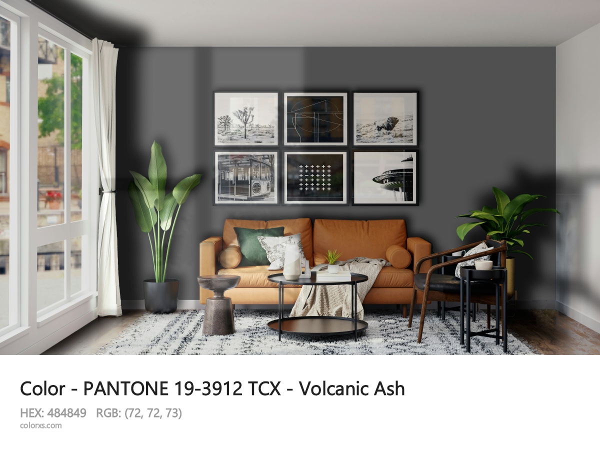 PANTONE 19-3912 TCX - Volcanic Ash CMS modern minimalist living room interior