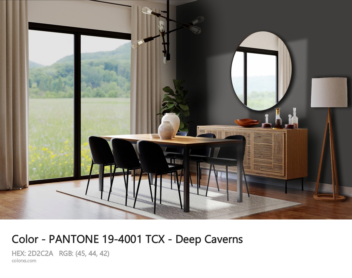 PANTONE 19-4001 TCX - Deep Caverns CMS dining room design
