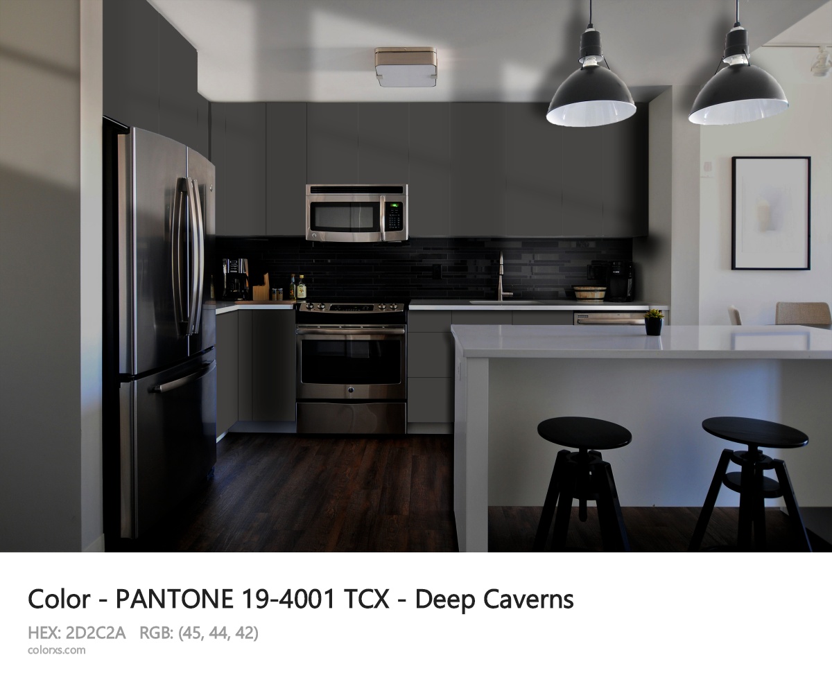PANTONE 19-4001 TCX - Deep Caverns CMS modular kitchen design