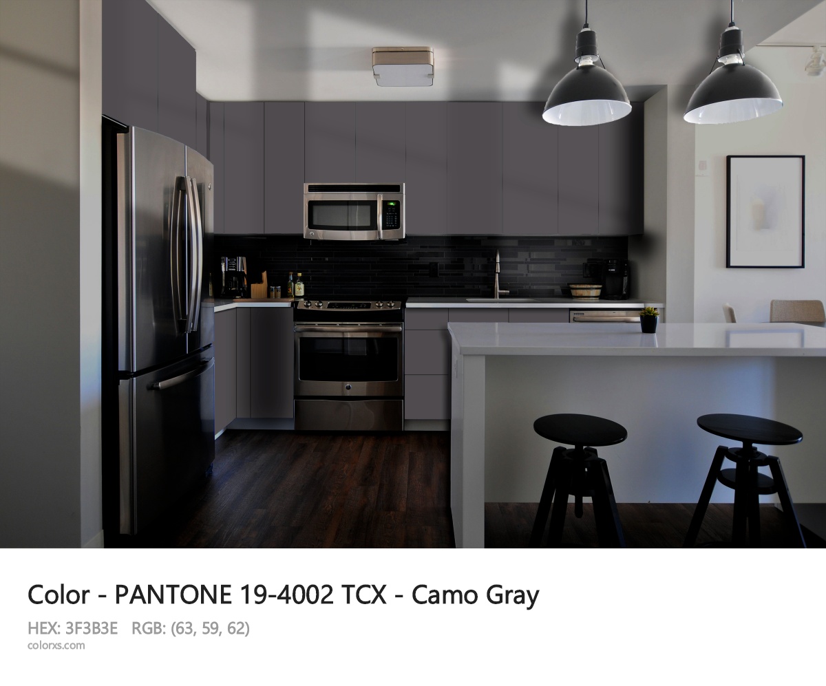 PANTONE 19-4002 TCX - Camo Gray CMS modular kitchen design