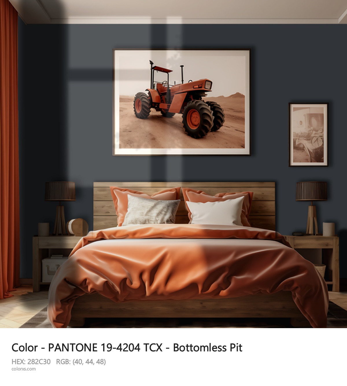 About PANTONE 19-4204 TCX - Bottomless Pit color - its meaning and example