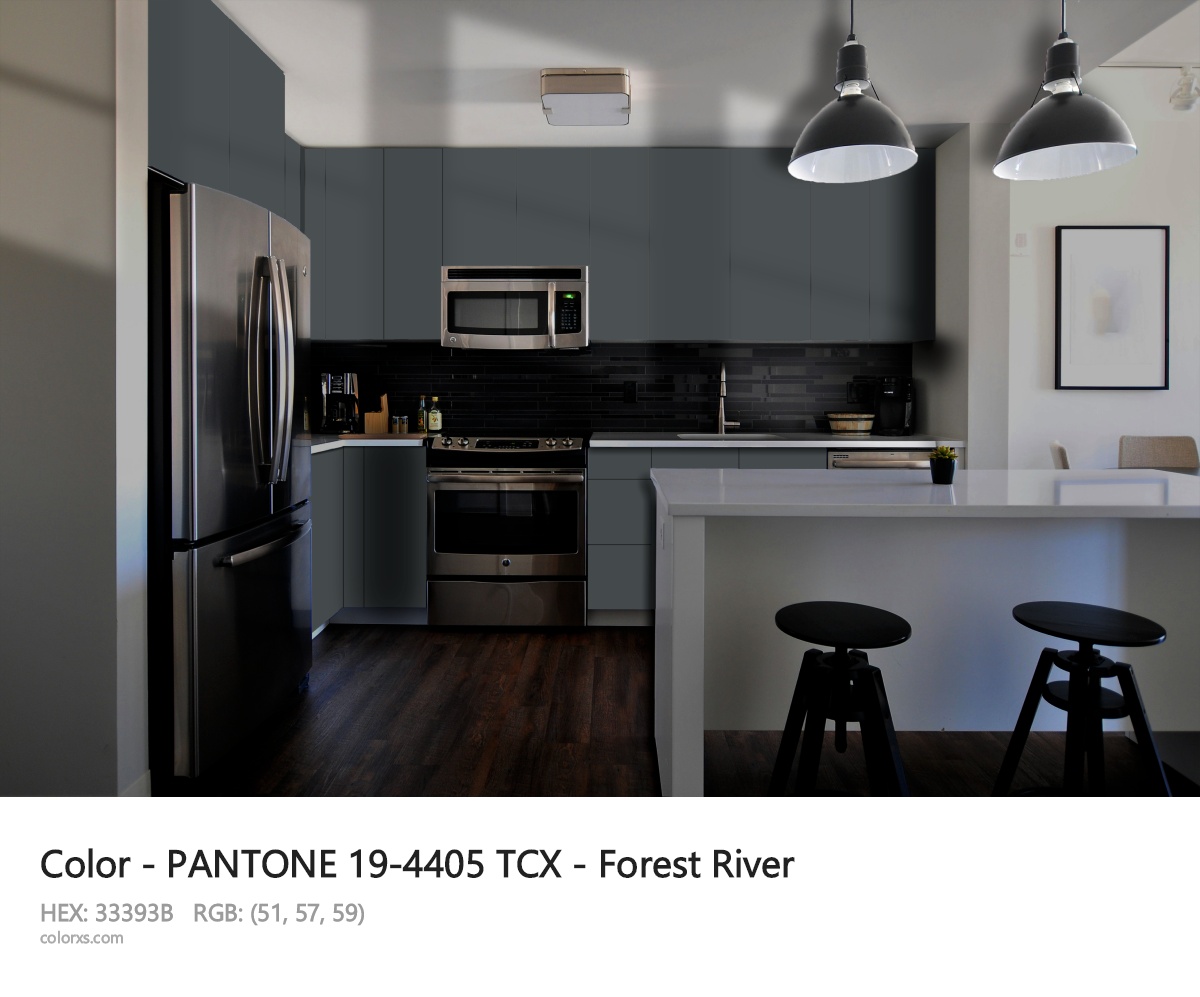 PANTONE 19-4405 TCX - Forest River CMS modular kitchen design