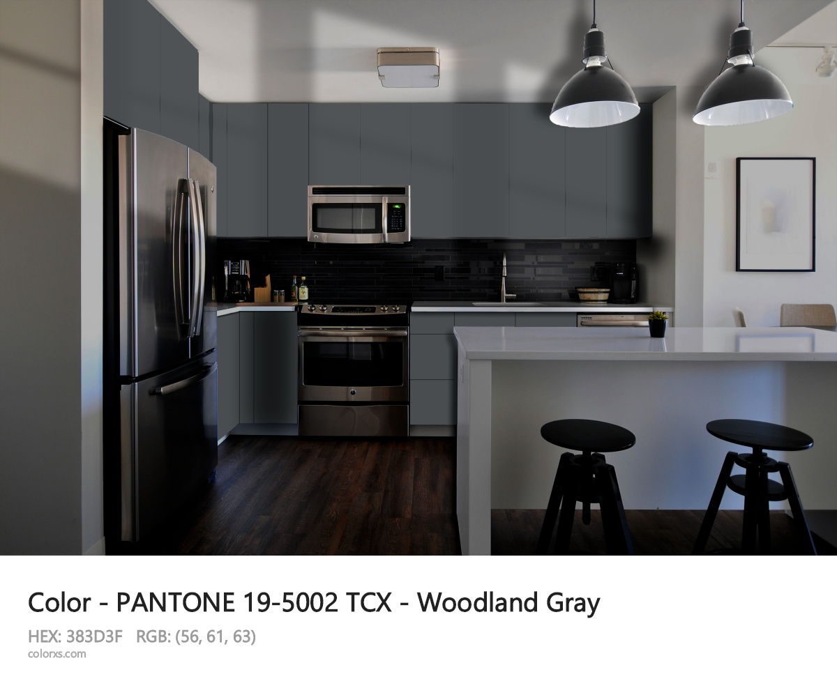 PANTONE 19-5002 TCX - Woodland Gray CMS modular kitchen design